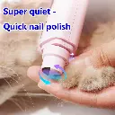 PetLED7.webp