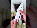 youtube - [Video]