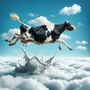 Designer (3).webp