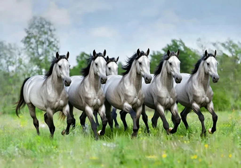 Zilveren paard 6 stuks.webp