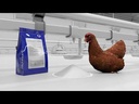 youtube - [Video]