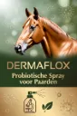 DERMAFLOX 500ml doos (2 stuks)