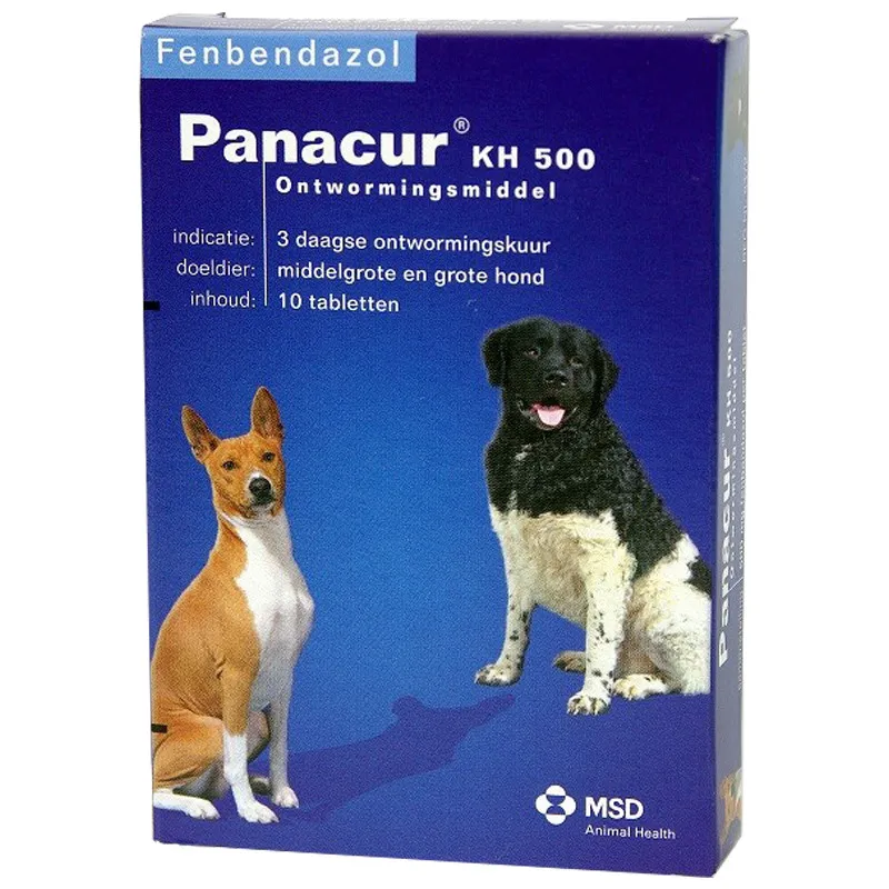 Panacur 500mg 10 tab