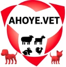 dierenarts-vanhoye-rijkevorsel