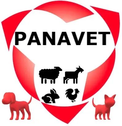 dierenarts-vanhoye-rijkevorsel